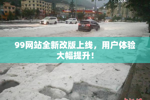 99网站全新改版上线，用户体验大幅提升！