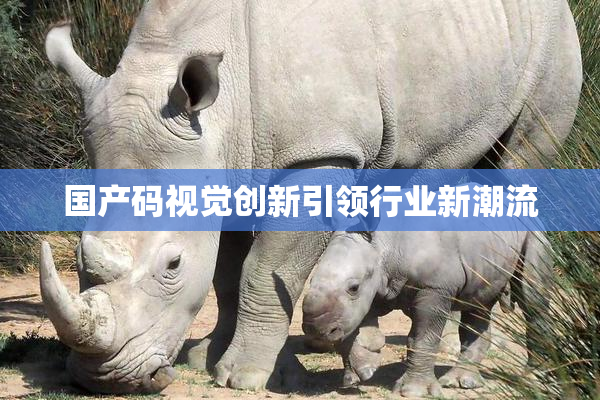 国产码视觉创新引领行业新潮流