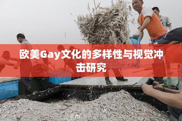 欧美Gay文化的多样性与视觉冲击研究