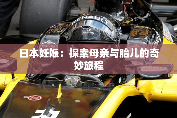 日本妊娠：探索母亲与胎儿的奇妙旅程