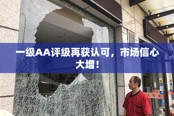 一级AA评级再获认可，市场信心大增！
