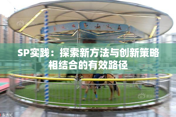 SP实践：探索新方法与创新策略相结合的有效路径