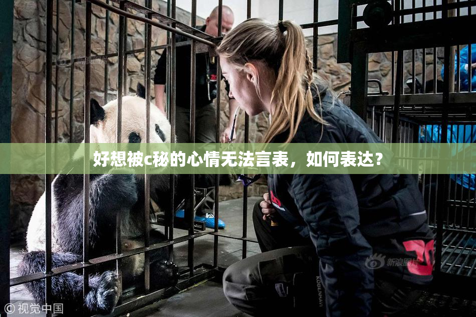 好想被c秘的心情无法言表，如何表达？
