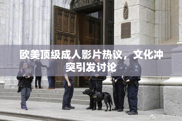 欧美顶级成人影片热议，文化冲突引发讨论