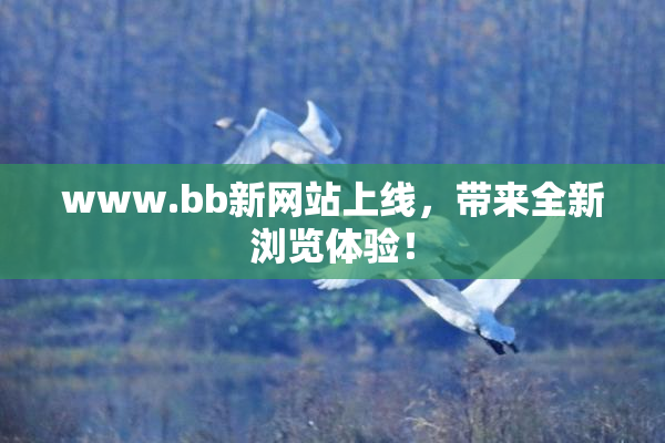 www.bb新网站上线，带来全新浏览体验！