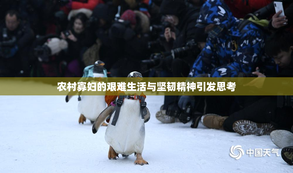 农村寡妇的艰难生活与坚韧精神引发思考