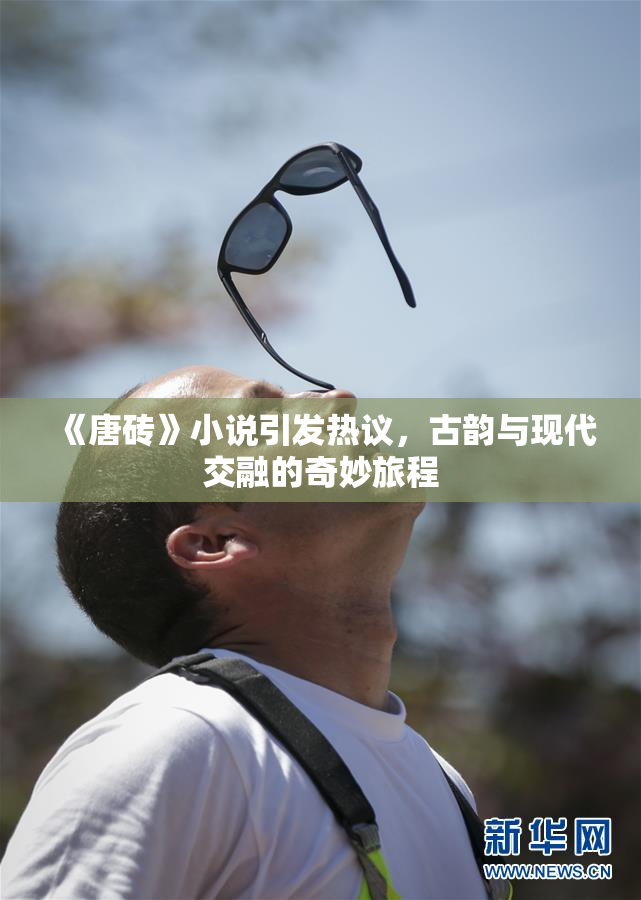 《唐砖》小说引发热议，古韵与现代交融的奇妙旅程