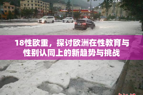 18性欧重，探讨欧洲在性教育与性别认同上的新趋势与挑战