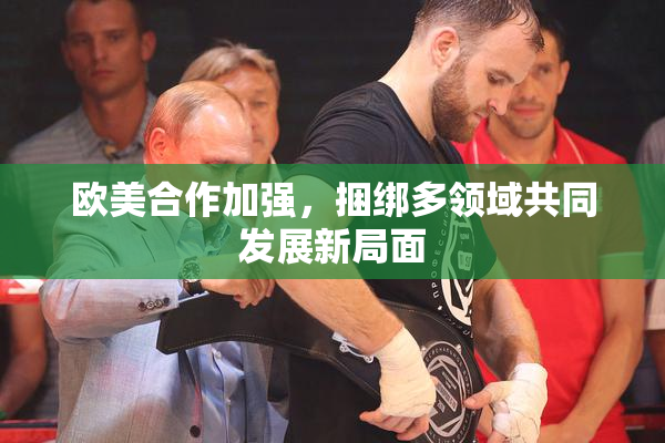欧美合作加强，捆绑多领域共同发展新局面