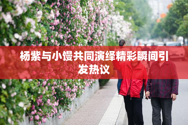 杨紫与小馒共同演绎精彩瞬间引发热议