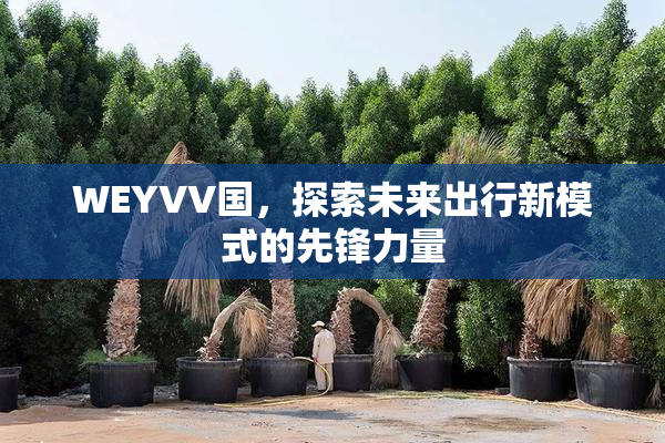 WEYVV国，探索未来出行新模式的先锋力量