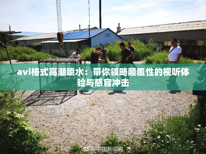 avi格式高潮喷水：带你领略颠覆性的视听体验与感官冲击
