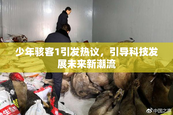 少年骇客1引发热议，引导科技发展未来新潮流