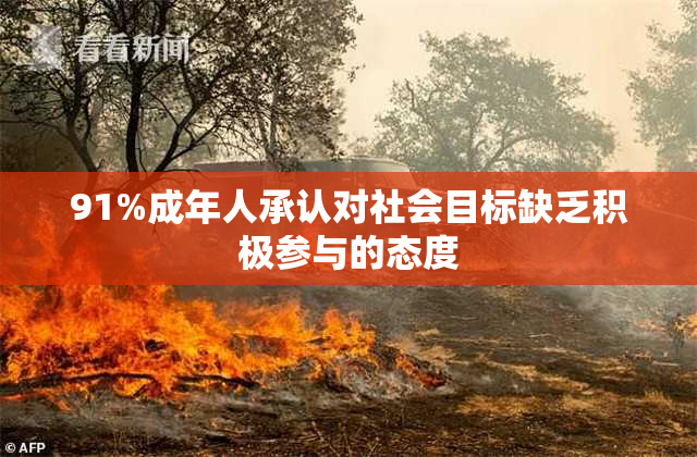 91%成年人承认对社会目标缺乏积极参与的态度