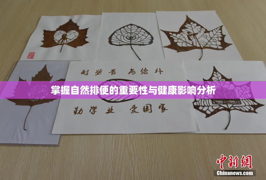 掌握自然排便的重要性与健康影响分析