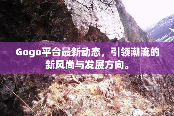 Gogo平台最新动态，引领潮流的新风尚与发展方向。