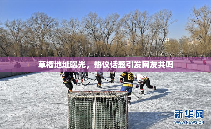 草榴地址曝光，热议话题引发网友共鸣