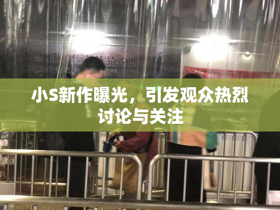 小S新作曝光，引发观众热烈讨论与关注