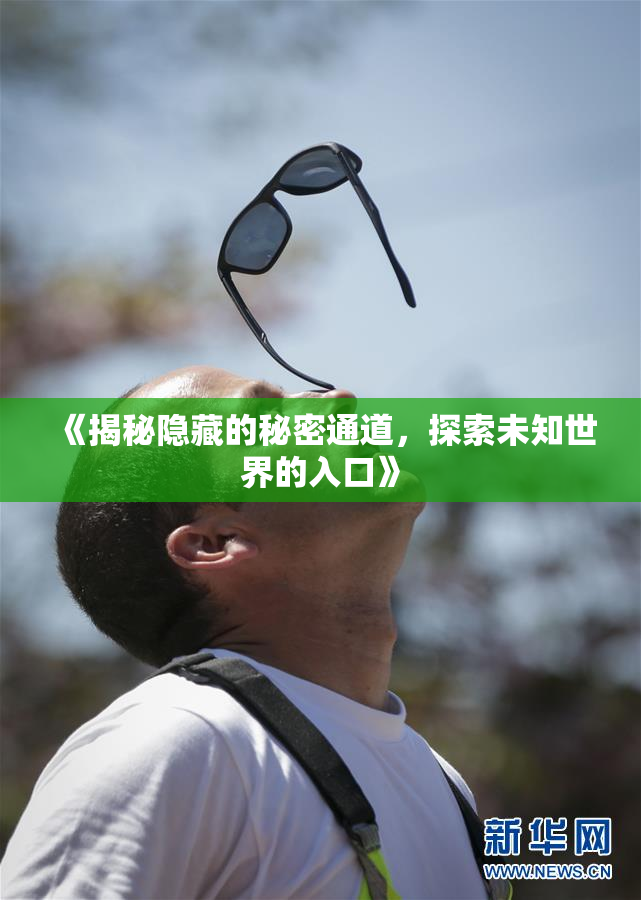 《揭秘隐藏的秘密通道，探索未知世界的入口》