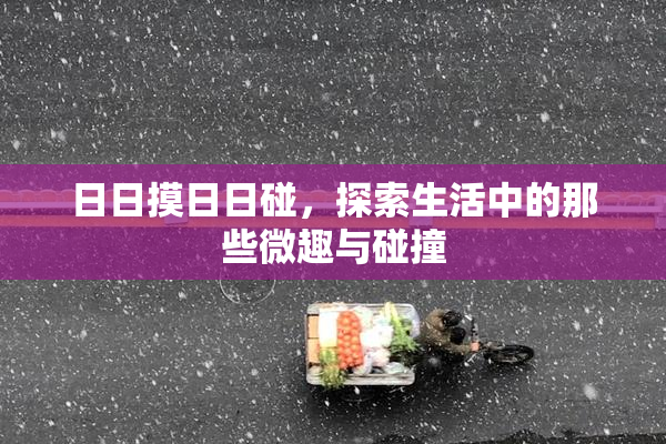 日日摸日日碰，探索生活中的那些微趣与碰撞
