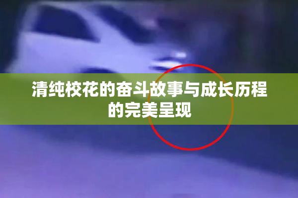 清纯校花的奋斗故事与成长历程的完美呈现