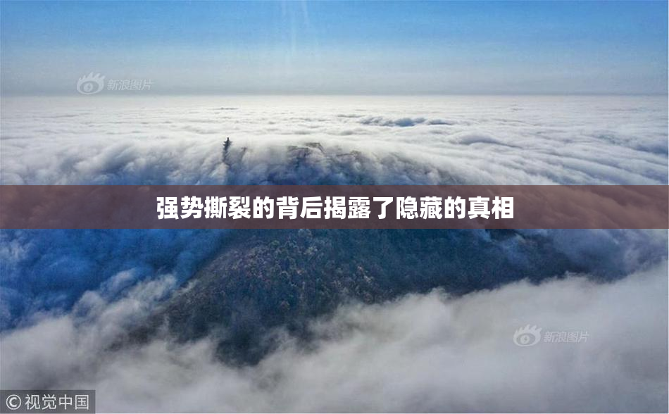 强势撕裂的背后揭露了隐藏的真相