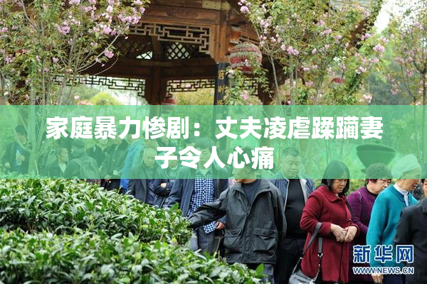 家庭暴力惨剧：丈夫凌虐蹂躏妻子令人心痛