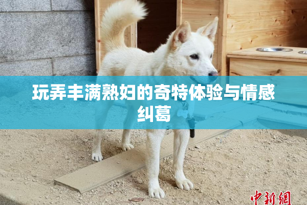 玩弄丰满熟妇的奇特体验与情感纠葛