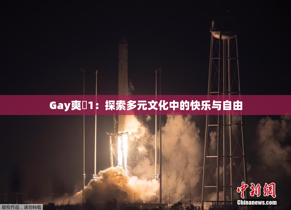 Gay爽擼1：探索多元文化中的快乐与自由
