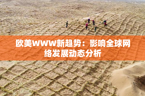 欧美WWW新趋势：影响全球网络发展动态分析