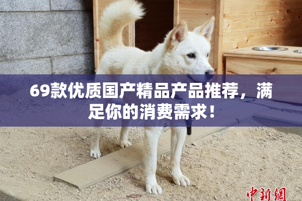 69款优质国产精品产品推荐，满足你的消费需求！