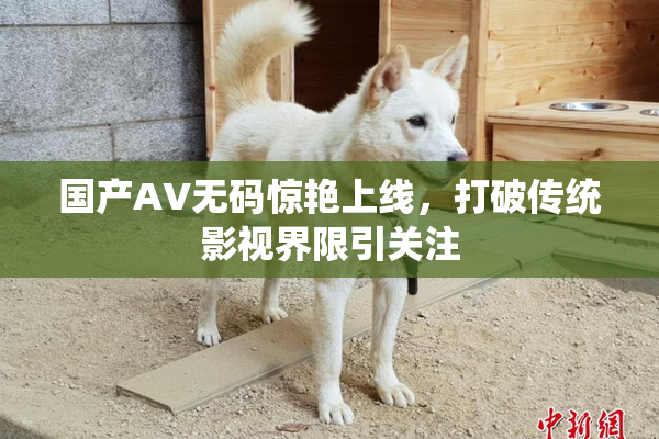 国产AV无码惊艳上线，打破传统影视界限引关注