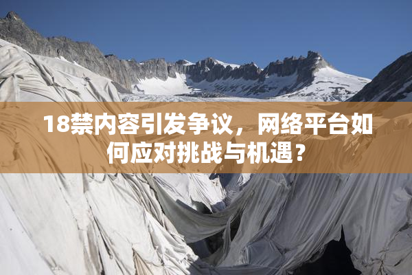 18禁内容引发争议，网络平台如何应对挑战与机遇？