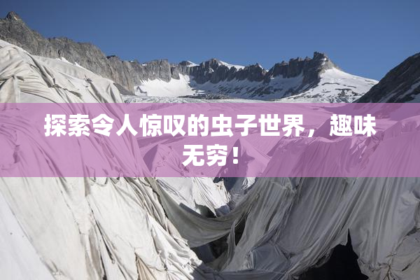 探索令人惊叹的虫子世界，趣味无穷！