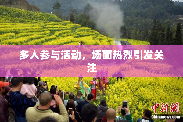 多人参与活动，场面热烈引发关注