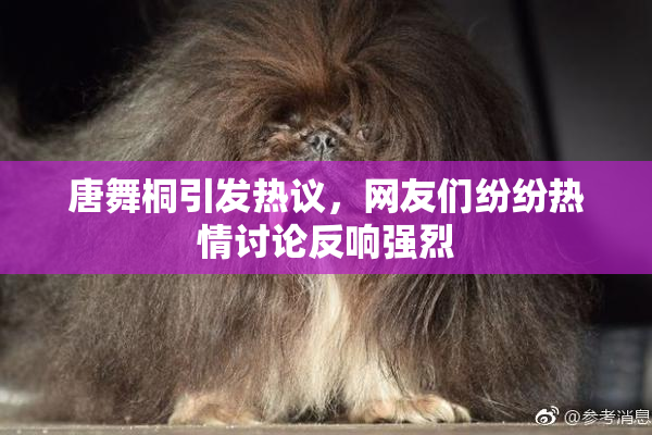 唐舞桐引发热议，网友们纷纷热情讨论反响强烈