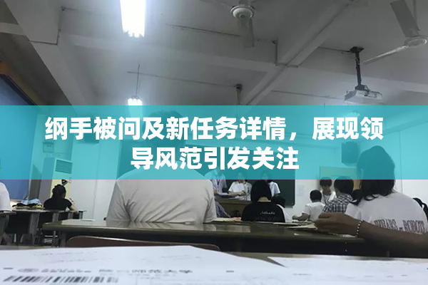 纲手被问及新任务详情，展现领导风范引发关注