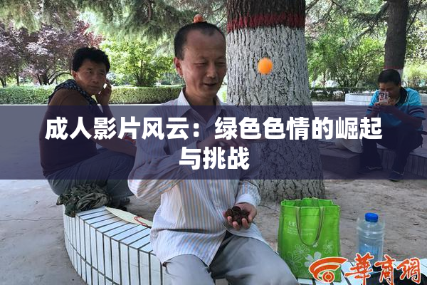 成人影片风云：绿色色情的崛起与挑战