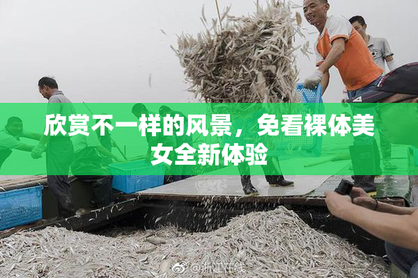 欣赏不一样的风景，免看裸体美女全新体验