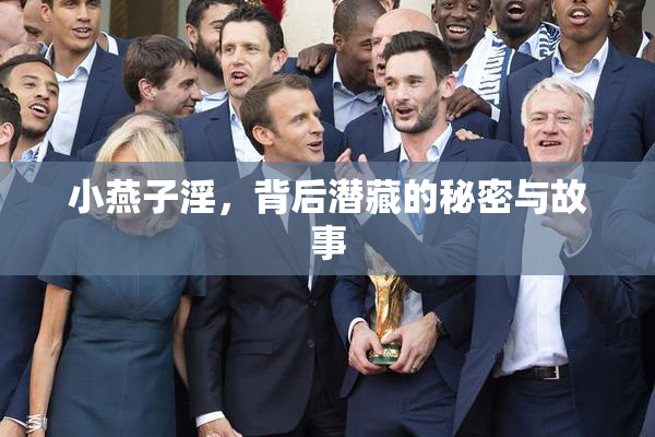 小燕子淫，背后潜藏的秘密与故事