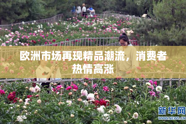 欧洲市场再现精品潮流，消费者热情高涨