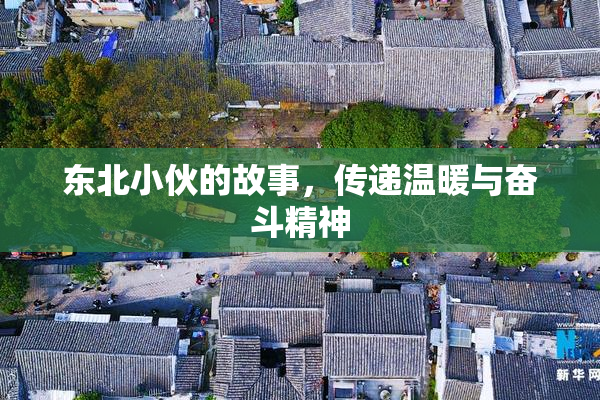 东北小伙的故事，传递温暖与奋斗精神