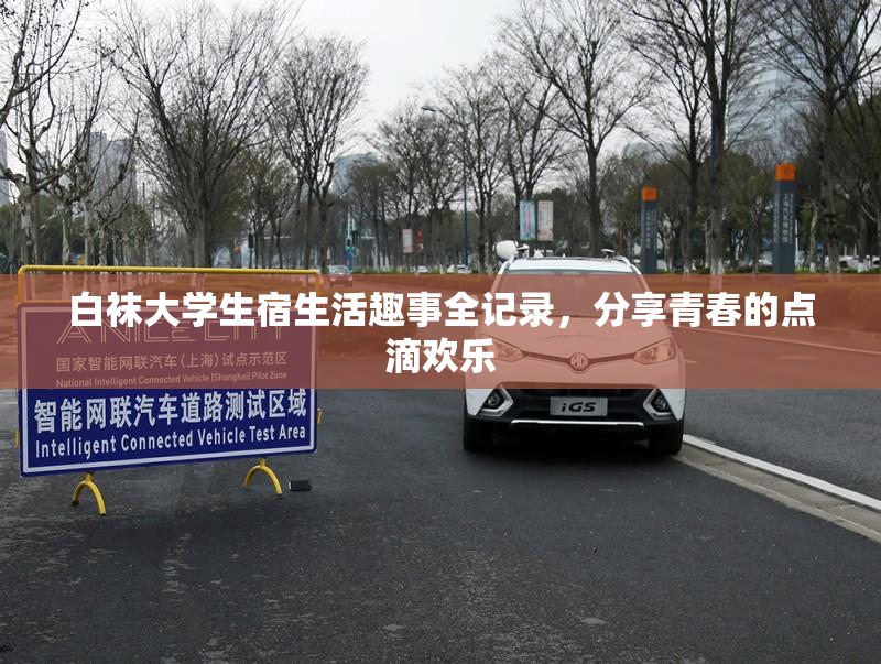 白袜大学生宿生活趣事全记录，分享青春的点滴欢乐
