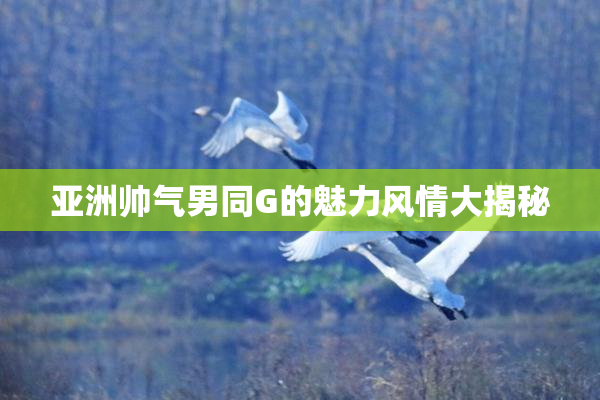 亚洲帅气男同G的魅力风情大揭秘