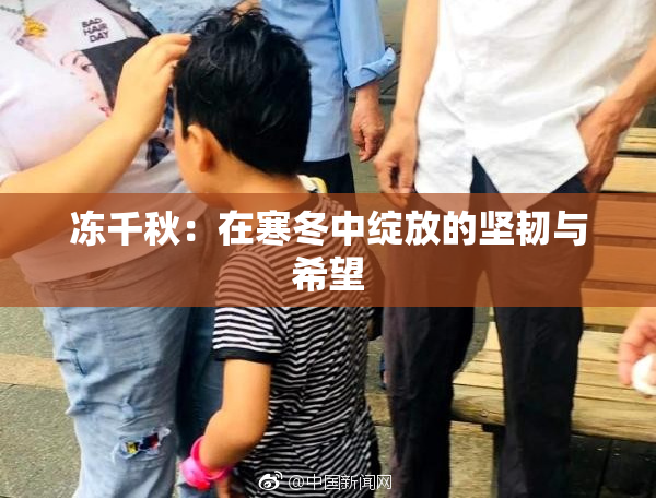 冻千秋：在寒冬中绽放的坚韧与希望