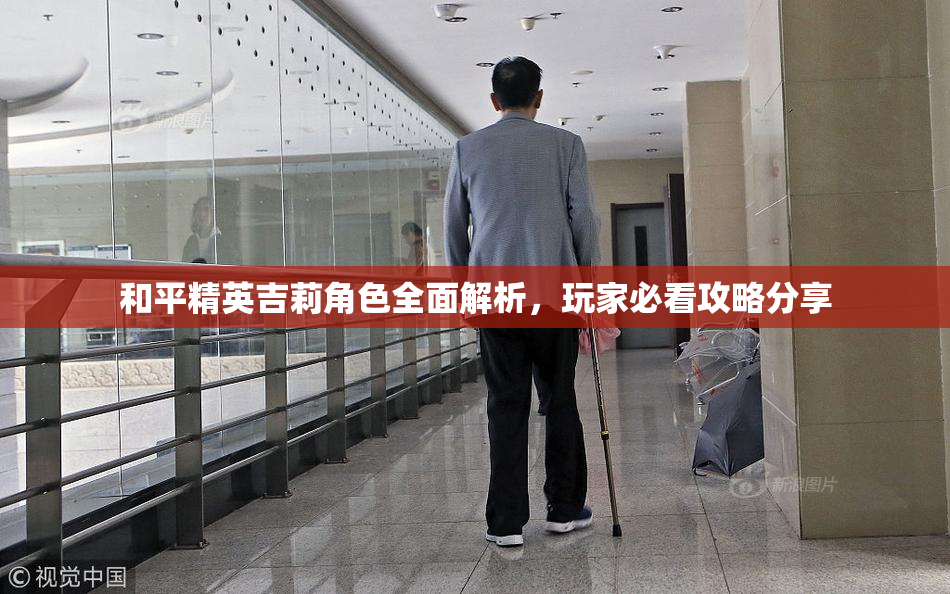 和平精英吉莉角色全面解析，玩家必看攻略分享