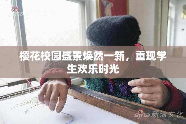 樱花校园盛景焕然一新，重现学生欢乐时光