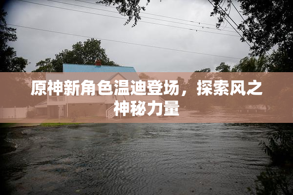 原神新角色温迪登场，探索风之神秘力量