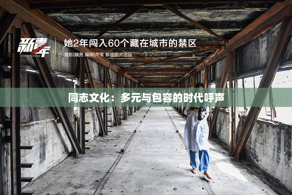 同志文化：多元与包容的时代呼声