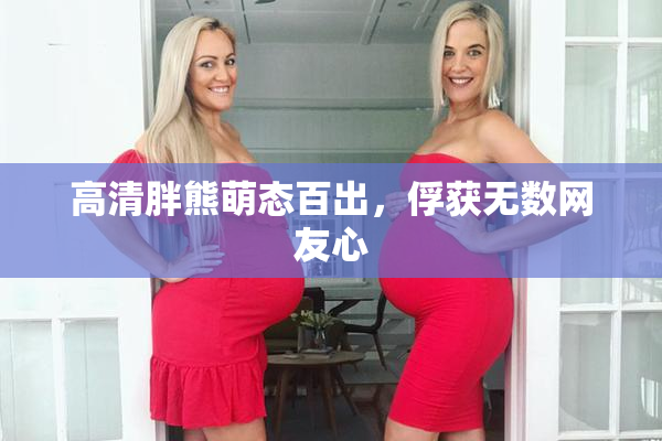 高清胖熊萌态百出，俘获无数网友心